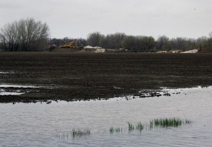 flooded fields
