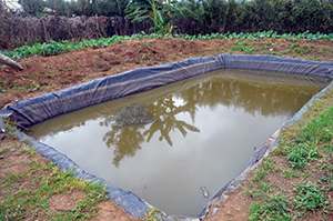 A dam liner collects water for crop irrigation.