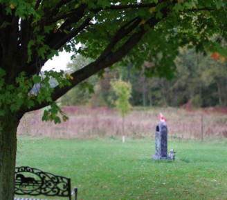 A Son stands on guard…a Remembrance Day reflection