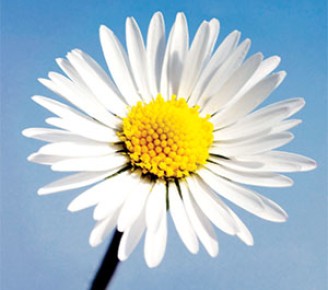 New resolution? New creation!