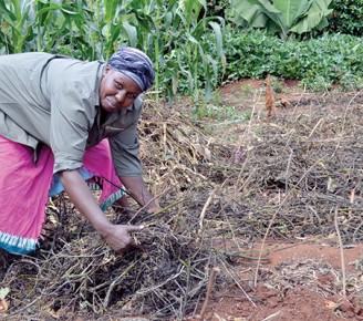 Small Things Make a Big Difference for Kenyan Farmers
