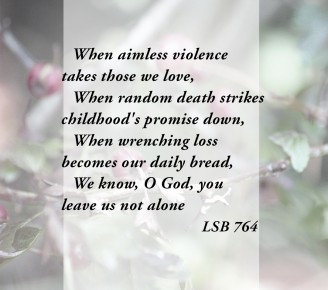 A message from LCC’s President to those impacted by the mass-murder in Nova Scotia