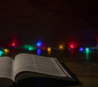 Prancing Ponies Before the King — A Christmas Day Meditation