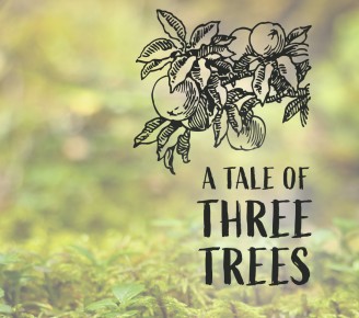 A Tale of Three Trees