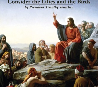 Consider the Lilies and the Birds